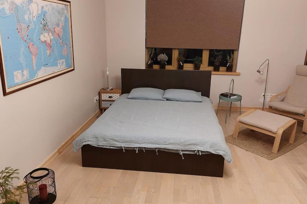 Spicy Studio In Art Nouveau District, Culture Trip 里加 外观 照片